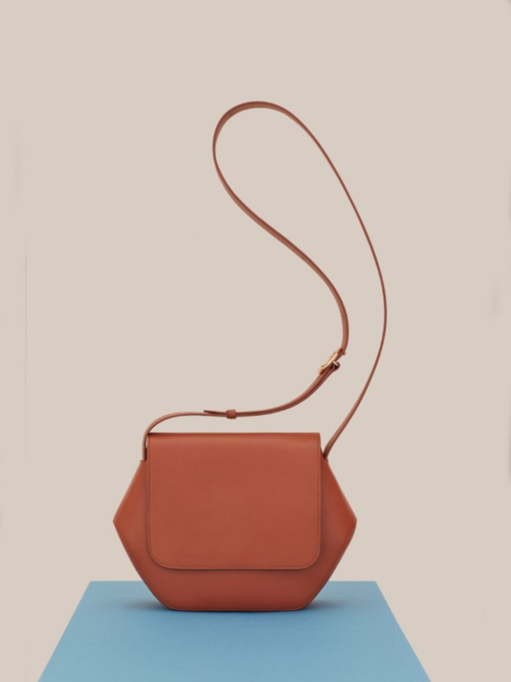 Cuyana Hexagon Crossbody Rare